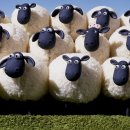 주주목장 이미지