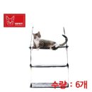 레드