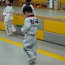 효태권도 이미지