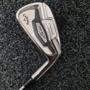 아이언 플렉스(IRON FLEX) 이미지