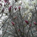 롯데마트 구로점 앞 이미지