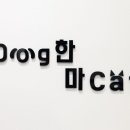 독한마캣 이미지