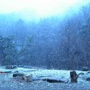 꿈꾸는유배지늡다리 이미지