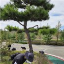 경주종합정비 이미지