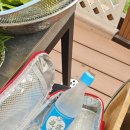 자작나무숲펜션 이미지