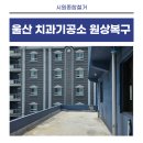 솔루션치과기공소 이미지