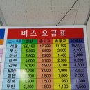 천일여객 영산정류소 이미지