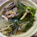 주식회사 힘낙지쭈꾸미 | 태안 안면도 강아지 애견동반 식당 [바다수산] 쭈꾸미 산낙지