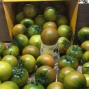 팜 라이프 이미지