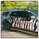 에버누리 | 에버랜드 사파리 스페셜투어 발렛주차장 이용 후 다녀온 후기