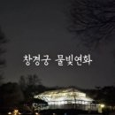 연화 이미지