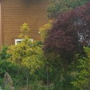 도담골 호반마을 이미지