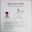 도그피아 애견 훈련 학교 이미지