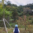 태학산자연휴양림 | 천안 바베큐장 추천&amp; 태학산 자연휴양림 가족바베큐장 후기