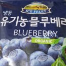 자연원농장 | 유기농 칠레산 냉동 블루베리 - 이 정도 달콤함이면 만족