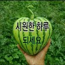 무주지포트 아산풍기점 네이버블로그