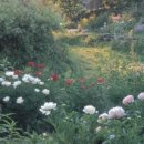 타샤의 정원 이미지