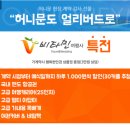비타민여행사