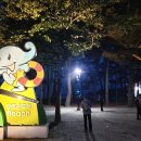 남파랑길 41-1+40+39구간(역)(상주은모래비치-지족리하나로마트) 20250511 이미지