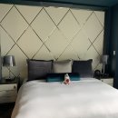 찬스안경(CHANS GLASSES) | 쇼핑 I 한국에서 받은 것들 ( 젠틀몬스터 알리오 안경, 렉슨 미나 조명 LEXON MINA L &amp; M, 마르디...