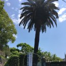 황금5로 | 일본 5월 초 황금연휴 후쿠오카 근교 도시 나가사키 여행후기,날씨정보