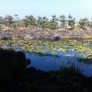 에스케이핀크스 주식회사 이미지