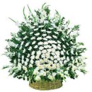 무주읍011 이미지