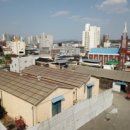 스타코(starco) 이미지