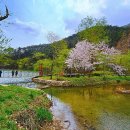 용소웰빙공원 이미지