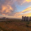 오션부동산공인중개사사무소 이미지