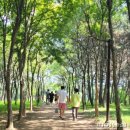 늠내길5코스 정왕둘레길 이미지