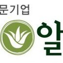 그린알로에7 동아일보