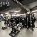 와일드 짐 이미지