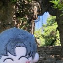 오행약국 이미지