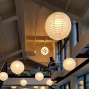 유정1955 이미지