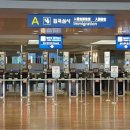 선동