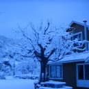 모퉁이펜션 이미지