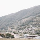 이모션펜션 | 하동 이모션펜션 숙박 후기, 차밭뷰에 반하고 고양이들과 힐링한 1박