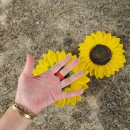 브이쓰리 이미지