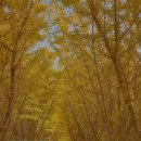 평안한치길 이미지