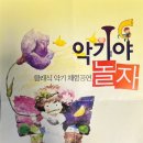 [대구어린이공연추천]5살 아이가 바이올린에 반한 악기체험 공연 '악기야 놀자'후기