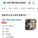 신영재동물병원 네이버블로그