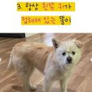 지에스25 용인문예회관점 이미지