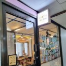 라비쉬독 이미지