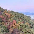 금강공원 | 11월 금강공원 케이블카 후기, 가격, 운영시간