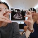 오상진 카카오 검색결과