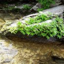 양구 공인중개사사무소 이미지