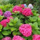 제주도 날씨 이미지