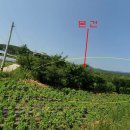 여주-0828 Daum카페