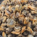 조양물산 이미지